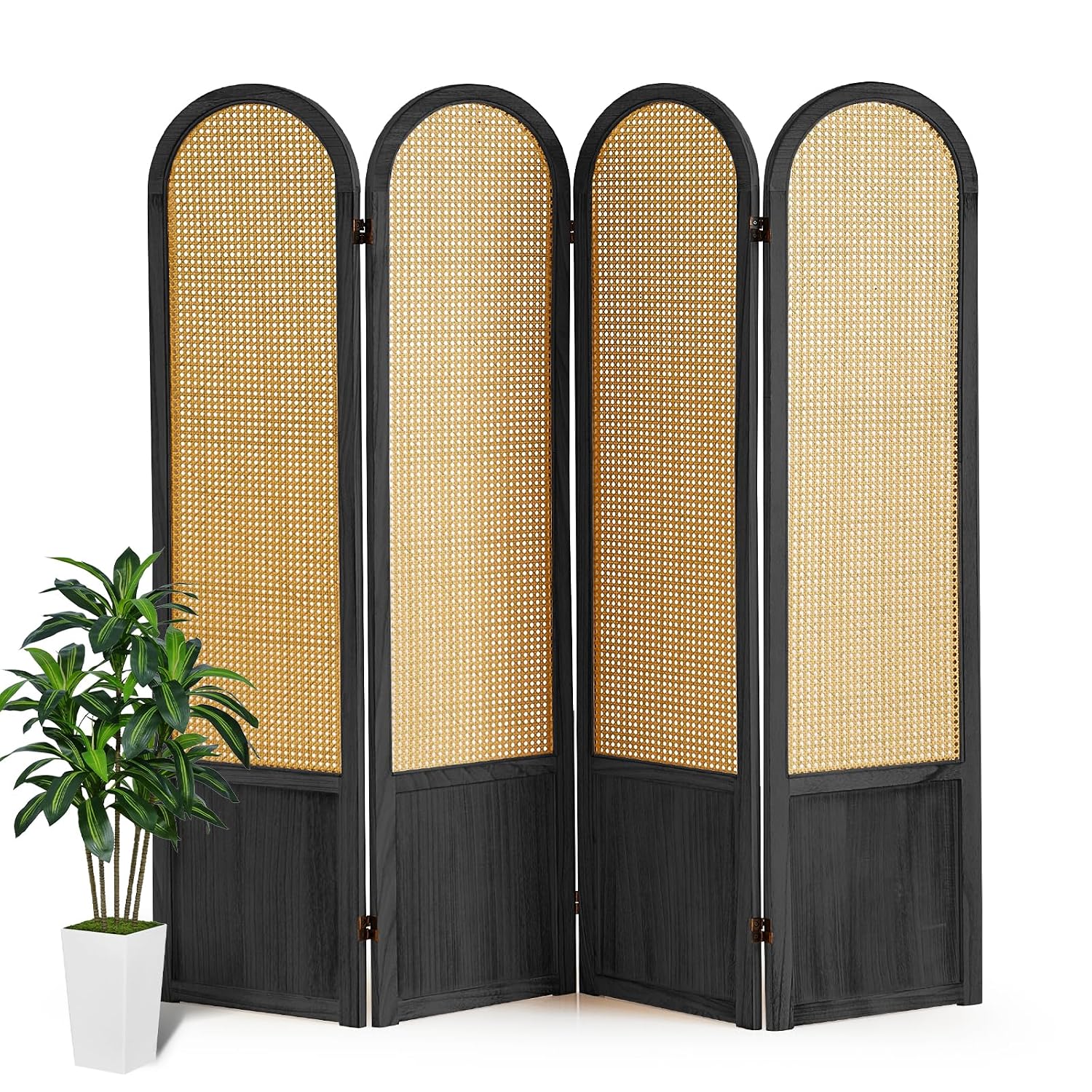 Separador de ambientes plegabl - Partition Screen Divider reseña y precio